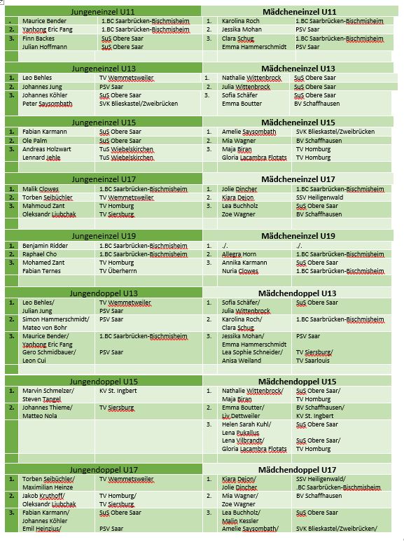 Federball 11 23 Fotos 003