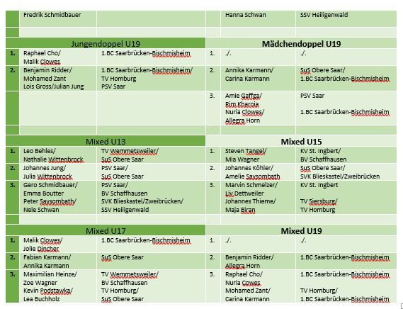 Federball 11 23 Fotos 004